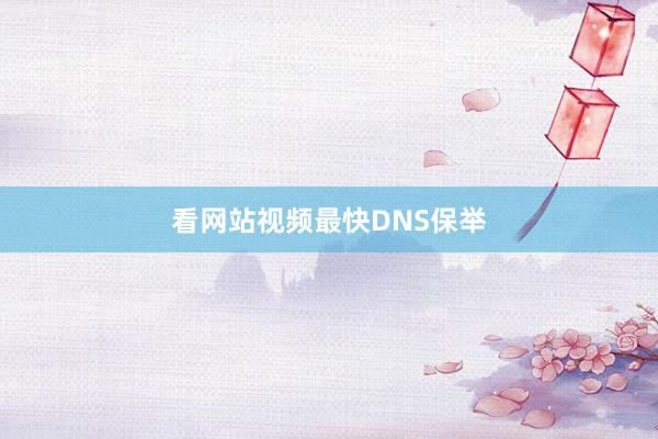 看网站视频最快DNS保举