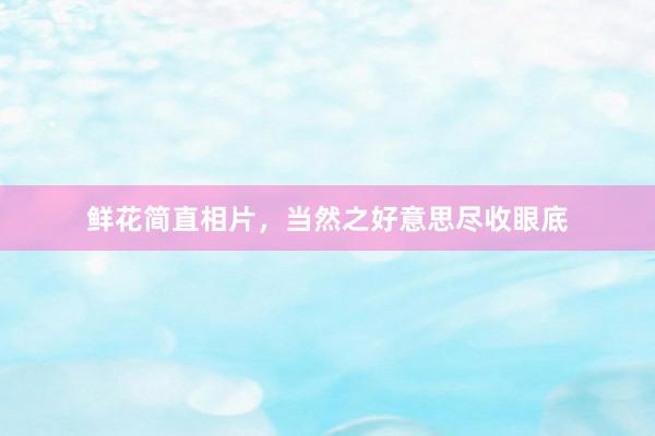 鲜花简直相片，当然之好意思尽收眼底