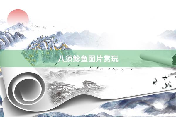 八须鲶鱼图片赏玩