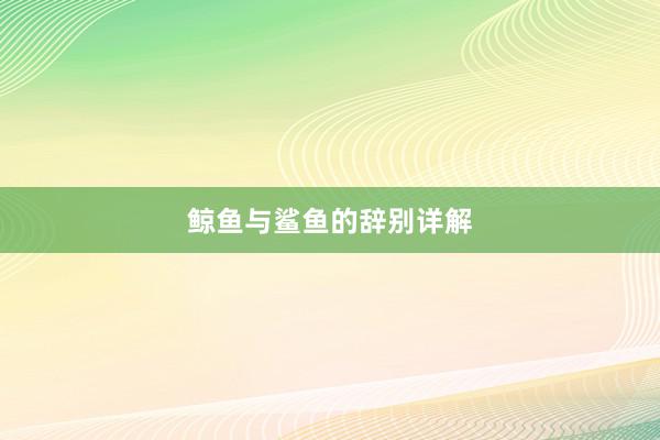 鲸鱼与鲨鱼的辞别详解