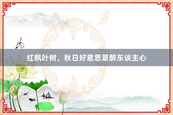 红枫叶树，秋日好意思景醉东谈主心