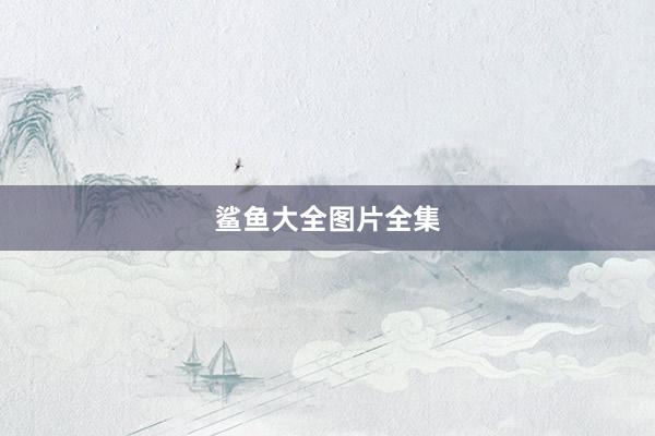 鲨鱼大全图片全集